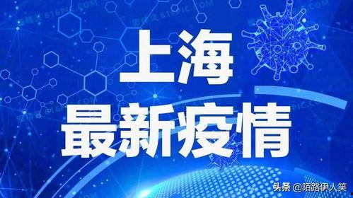 嘉定新闻爆料最新消息疫情,多区域发现阳性病例，防控措施升级  第2张